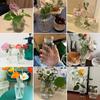 Arrangement Nordic Creative Transparent Plant Bottle Table Vase Flower Pot Glass Vases