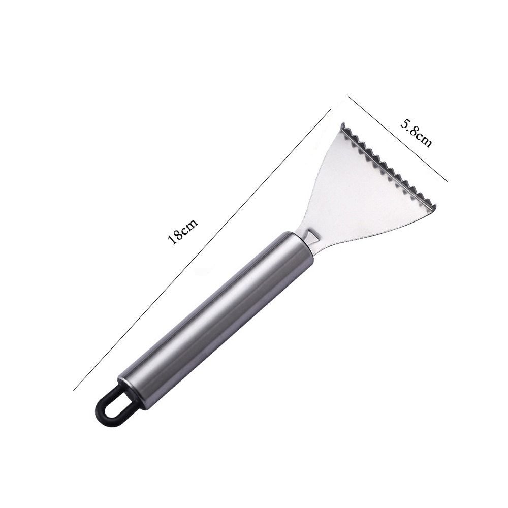 Smooth Handle Fish Scale Scraper Easy Maneuverability Seafood Tools  Kitchen Tools