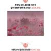 HOLIKA HOLIKA - Foggy Blur Tint It's Neat Collection - 6 Colors