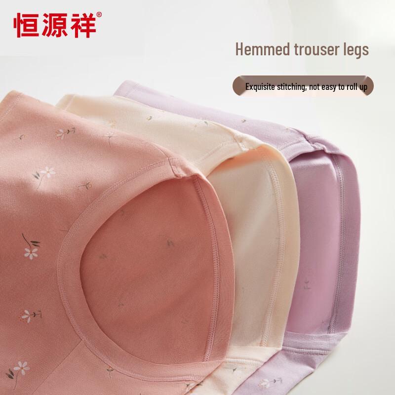 Hengyuanxiang Women's Plus Size High-Waist Pure Cotton Antibacterial Underwear (4-Pack)