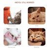 Cats Toy for Indoor Plush Animal Chewing Toy Cats Teether Chewing Toy Interaction Boredom Cats Entertainment Toy