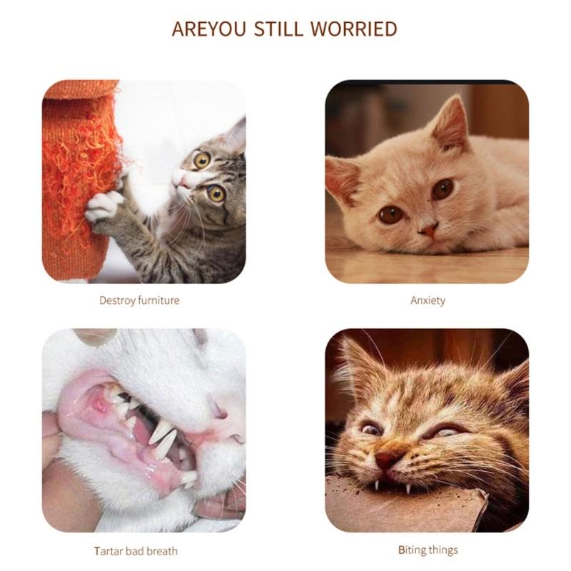 Cats Toy for Indoor Plush Animal Chewing Toy Cats Teether Chewing Toy Interaction Boredom Cats Entertainment Toy