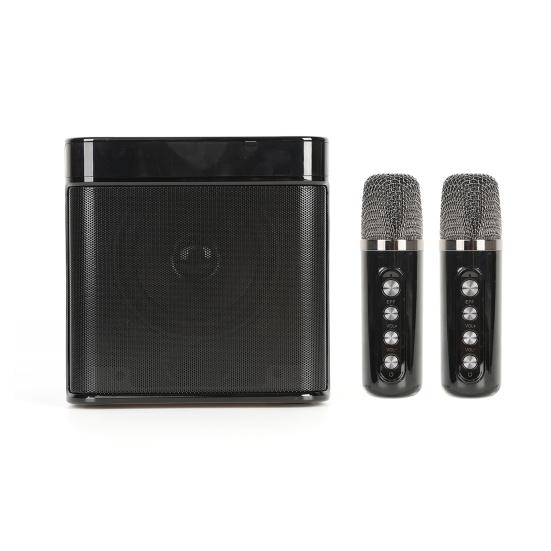 

Беспроводной динамик для караоке с двумя микрофонами, светодиодная подсветка, Hi-Fi стереозвук, слот для TF-карты, динамик для караоке чёрный
