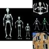 Spooky Luminous Skeleton For Halloween Décor