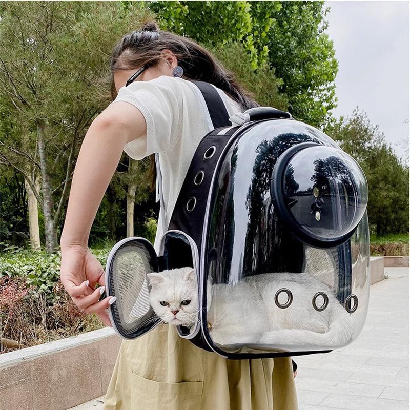Geantă de umăr pentru ieșire pentru animale de companie, 1 bucată, pisică, câine, umăr, portabil, respirabil, pliabil, transparent, pentru animale de companie de mare capacitate