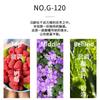 Hot selling perfume 35ml small test tube makeup long-lasting fragrance perfumes perfumes