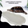 NW29 Plastic Reptiles Feeder Basin Snake Frogs Drinking Feeding Dish Landscape Decorations
