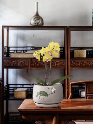 Decorazioni per la casa – Vasi