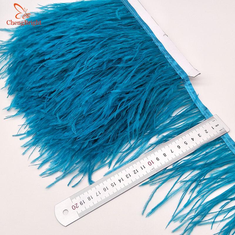 FeatherChengBright High Quality 10Yards Mint Green Ostrich Feather Ribbon Ostrich Feathers Trim Fringe Clothing Decoration
