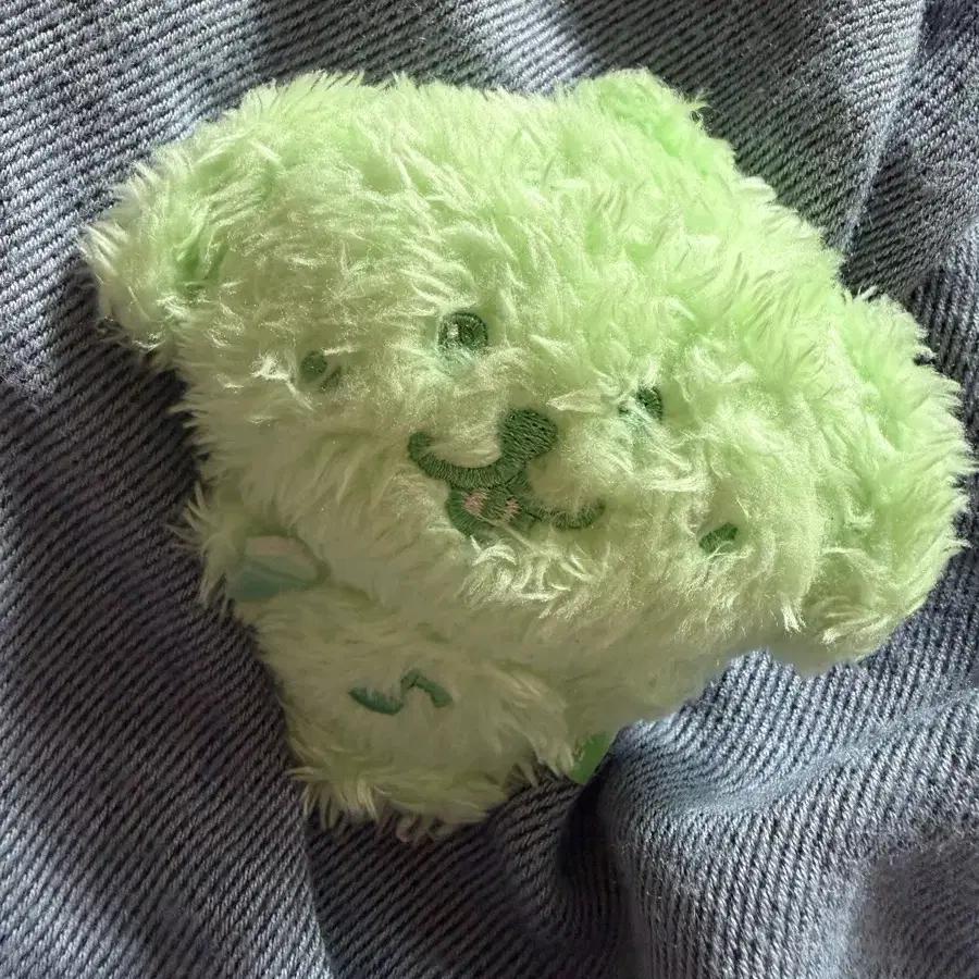 NCT Wish Jaehee Green Retriever