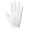 FootJoy 21 Nanolock Neo Golf Size 26cm Gloves, Men's, White,