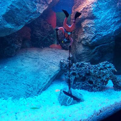 Treasure Hunter Fish Tank Decorations Fish Tank Ornament Aquarium Decoration Accessories