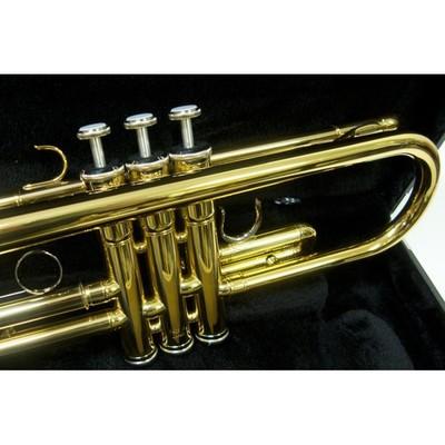 Yamaha YTR-2330 Bb Trumpet Gold Lacquer Student Model w Hard Case Mouthpiece