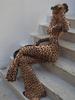 European Style Backless Leopard Print Bodysuit with Flared Long Pants - Sexy and Tight-fitting Long Sleeve Outfit for Women