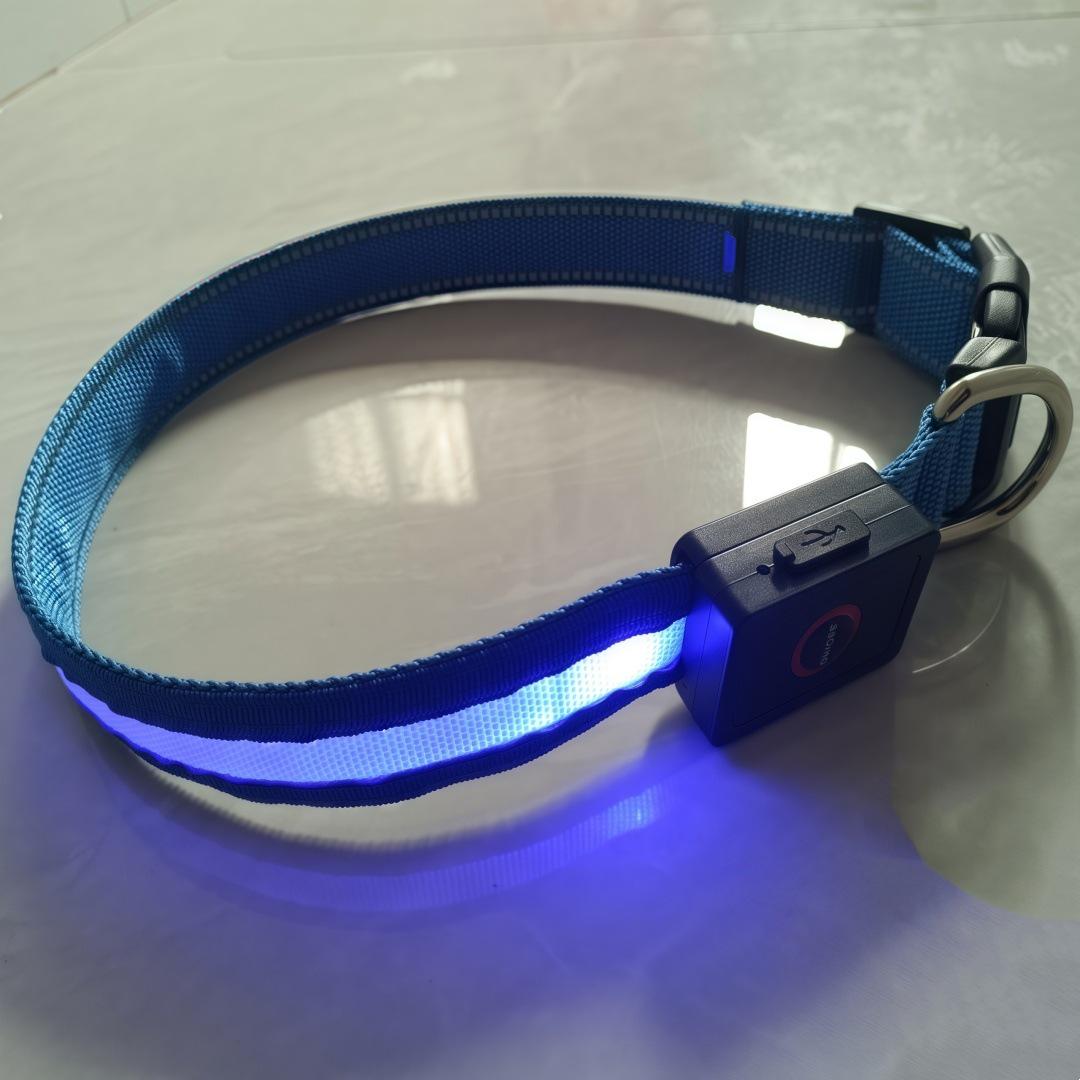 

USB Rechargeable LED Dog Collar for Nighttime Safety - Fits Husky, Shepherd, Golden Retriever Small