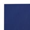 Vidaxl Plandeka, Niebieska, 4X8 M, 600 G/M²