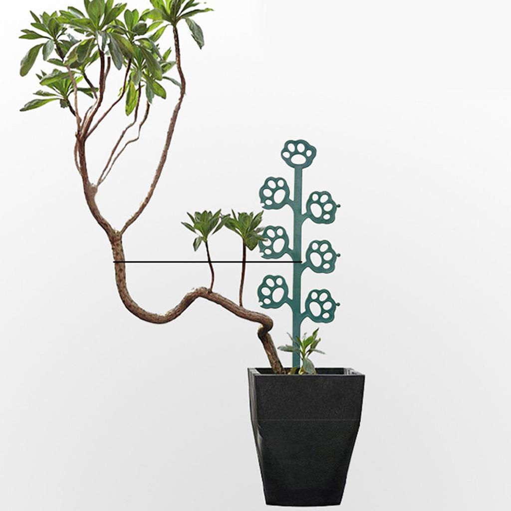 Small Trellis for Potted Plant Plastic Plant Trellis for Climbing Plant Indoor Pots For Indoor Climbing Plant Houseplant