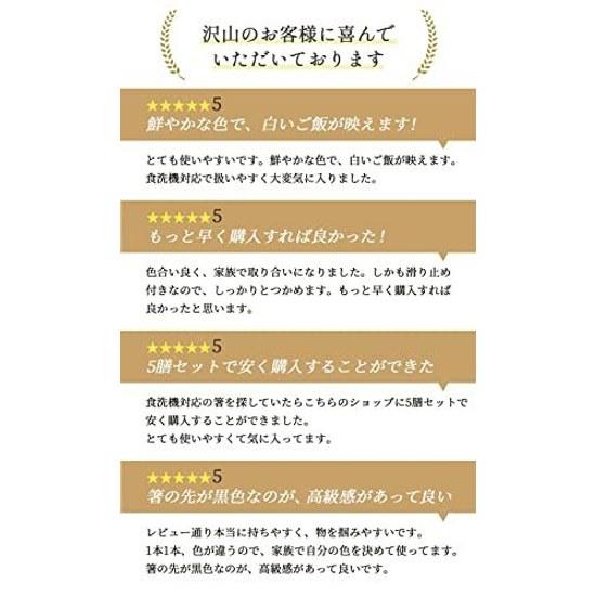 Fukui Prefecture Obama In-house factory manufacturing Chopstick Dishwasher safe easy-to-hold wooden carved chopsticks 5 pairs set Wakasa lacquer made