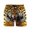 Funny Animal Tiger Snake Zebra Graphic Men's Beach Shorts 3D Printing For Men's Casual Shorts Cool Men's and Women's Shorts