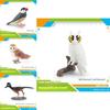 Bird Animal Model With Plastic Material For Home Decor And Collecting