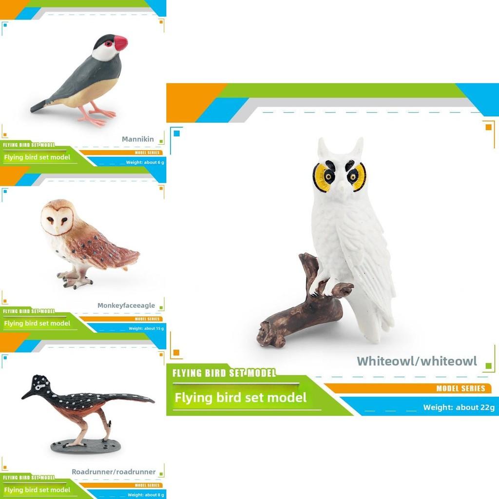 Bird Animal Model With Plastic Material For Home Decor And Collecting