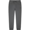 Polo FW23 Solid Color Small Pony Embroidered Lace-Up Casual Pants Men Pants Gray MNPOPNT1BQ20151-020
