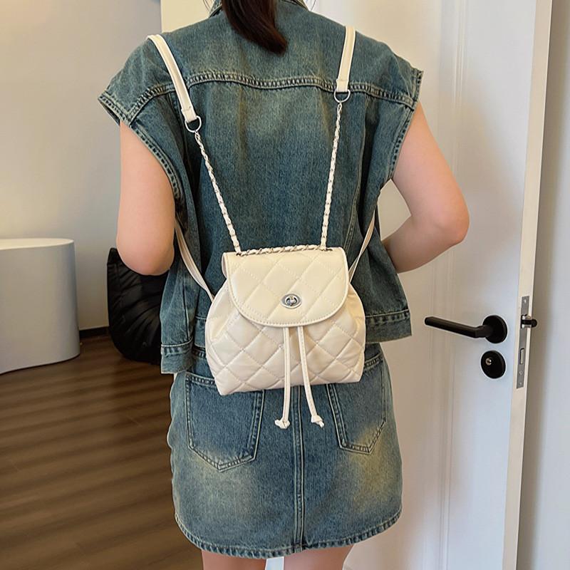 Stylish 2024 Spring Season Black Quilted Chain Strap Shoulder Bag For Casual Wear
