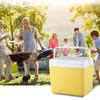 Camping Coolers Ice Box 6L Insulated Ice Chest Portable Ice Bucket Outdoor Hard Coolers for Camping Beach Picnics