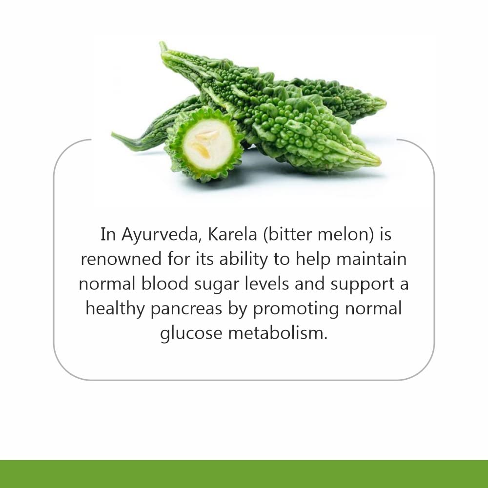Jain Karela Powder 400 g Pack of 1 – Pure Natural Ayurvedic Bitter Gourd Supplement for Healthy Skin & Liver Support