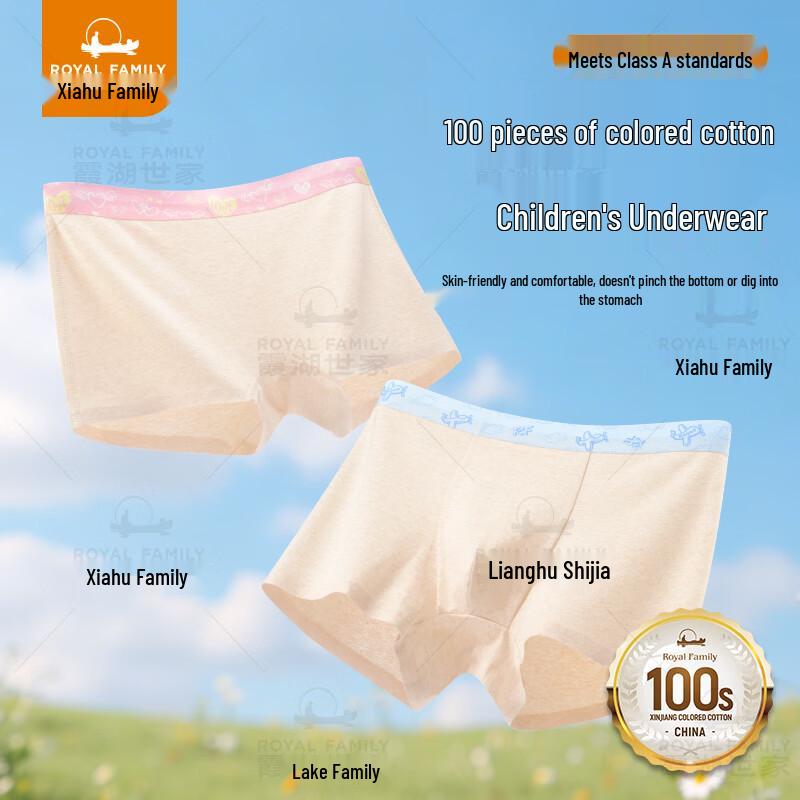 Xiahu Shijia Kids  100-Count Combed Cotton 7A Anti-Bacterial Boxer Briefs 120 (36-47 lbs)