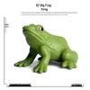 Children's Cognitive Toys: Frog Tadpole Growth Cycle Models