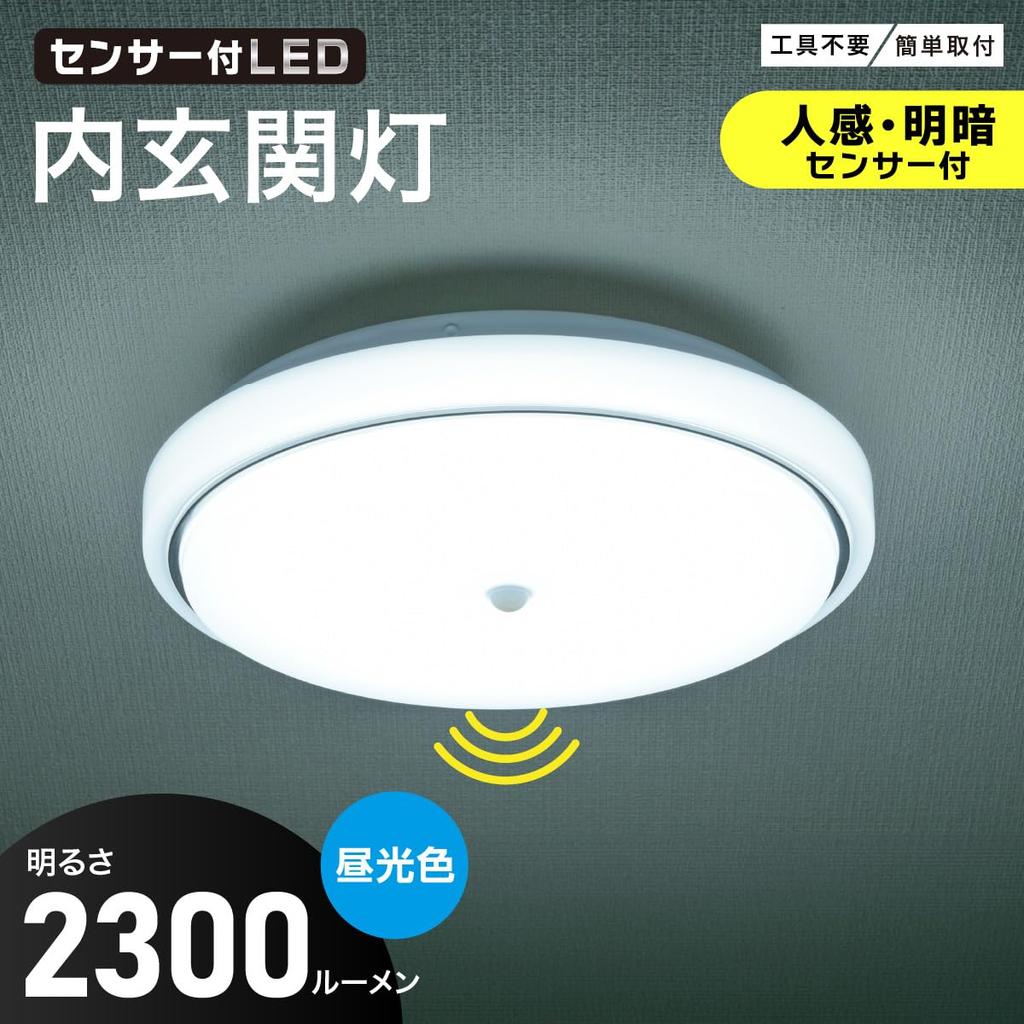 OHM LED Interior Entrance Light, Daylight | OHM Electric LT-Y18D-GB-PIR 06-5570