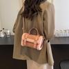 Autumn and winter French niche fashion handbag women's 2025 new foreign plush small square bag high-end shoulder bag