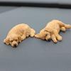 2Pcs Golden Retriever Dog Car Ornaments Resin Model Tabletop Decoration  for Car Dashboard