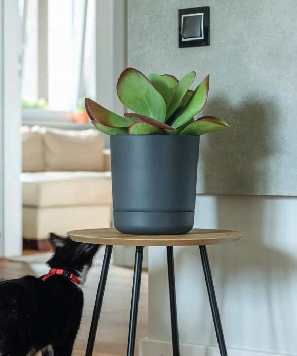 Satina 25 Round Flower Pot with Saucer | Platinum