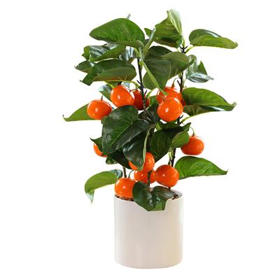Small Fake Fruit Tree Decor Artificial Potted Tree with White Pot Potted Plant Perfect for Kitchen