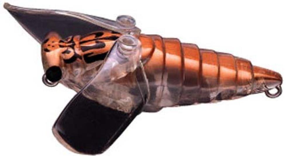 SMITH LTD Noisy Bisen 38mm Clear (Beautiful Cicada) 2.6g #7