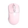 Wireless Bluetooth Dual-Mode Silent Gaming & Office Mouse with Type-C Charging