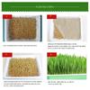 Hydroponic Home Gardening System Seedling Tray Double-layer Soilless Cultivation