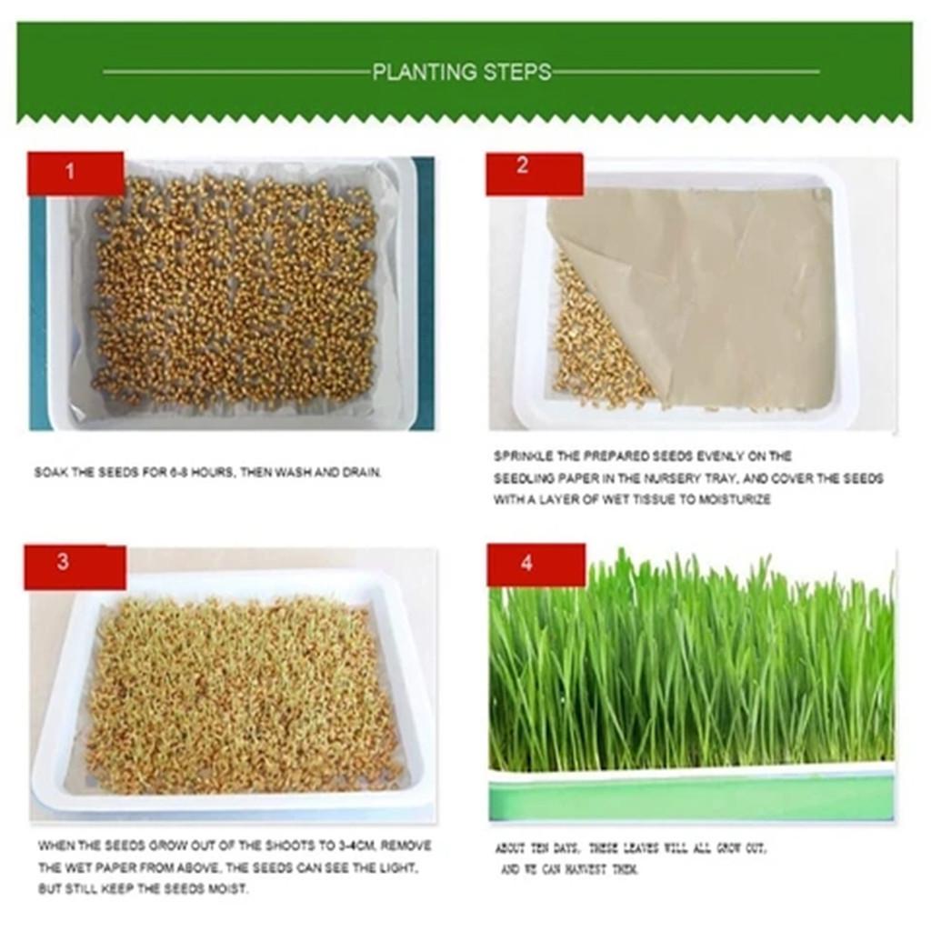 Hydroponic Home Gardening System Seedling Tray Double-layer Soilless Cultivation