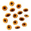 Bview Art Creative Sunflower Design Push Pins 30/50 PCs, Adorable Floral Cork Memo Board with Decorative Thumb Tacks