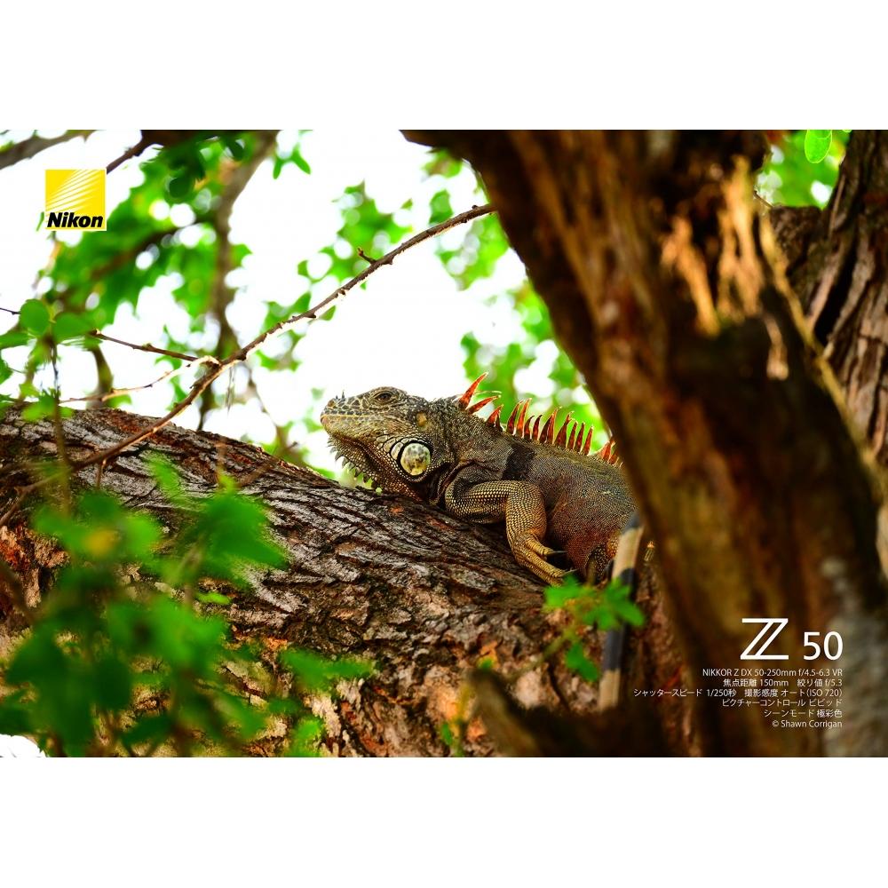 Nikon Teleobjektiv se zoomem NIKKOR Z DX 50-250 mm f4,5-6,3 VR Z Mount DX objektiv NZDXVR50-250