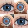 1Pair Korean Lenses Color Contact Lenses For Eyes Borwn Eyes Makeup Beauty Blue Eye Contacts Gray Pupil… More