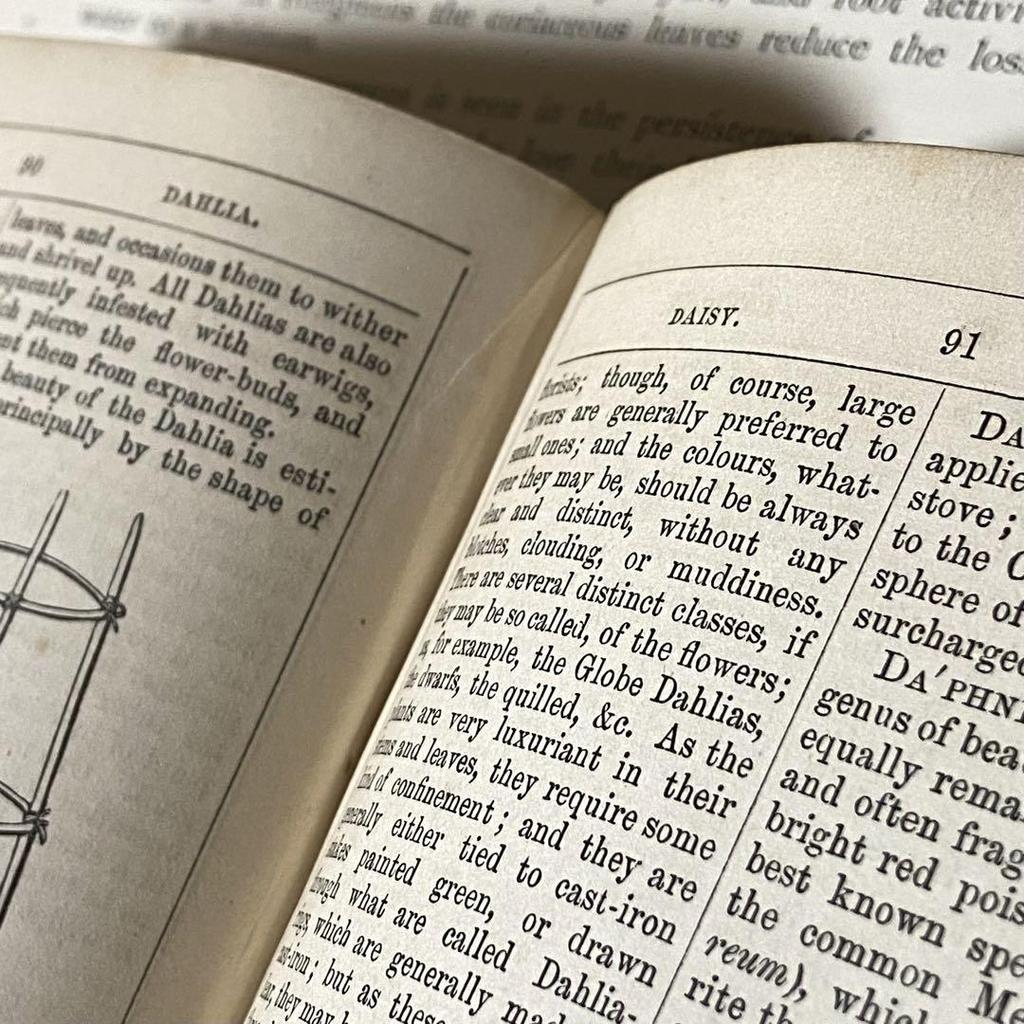 [USED] Extremely Rare British Victorian Antique Gardening Book