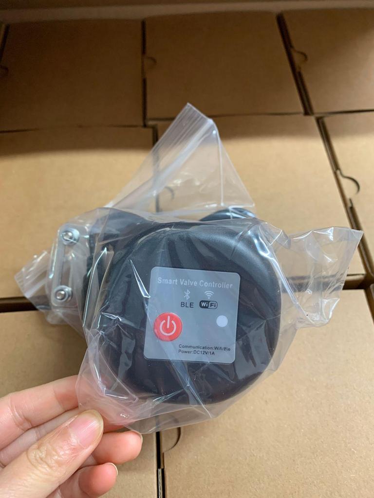 Graffiti Smart Wireless Water & Air Valve with Remote Voice Control