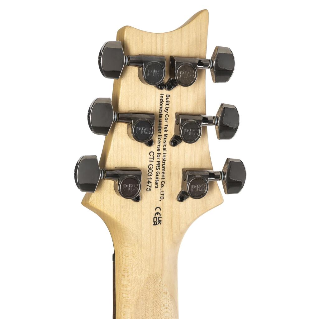 SE Swamp Ash CE24 Sandblasted White