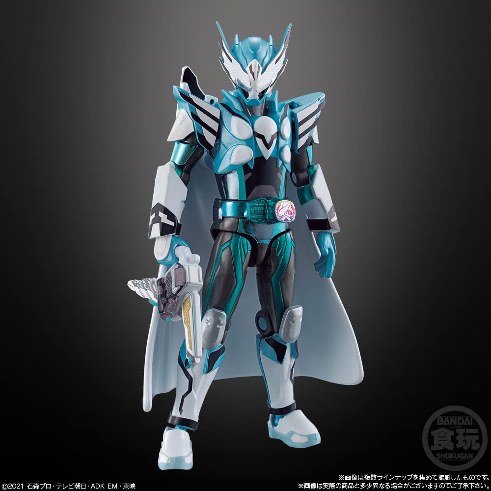 Shodo Kamen Rider Revise by9 Godis Tuggummi Ryttare (14 stycken) Leksaker/Tugg (Kamen revidera)