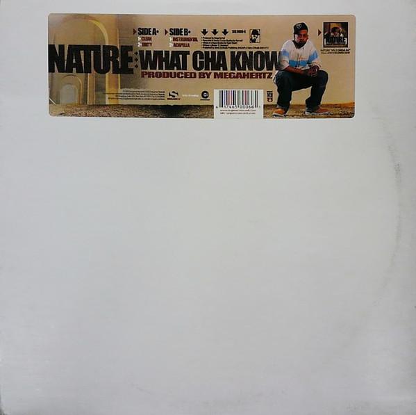 12inch Record NATURE - What Cha Know SEQ80066 Sequence Record 2002 US Rap & Hip-Hop/R&B Used