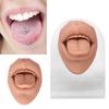 Modelo de lengua humana, silicona suave, soporte acrílico realista, modelo de boca para exhibición de joyería