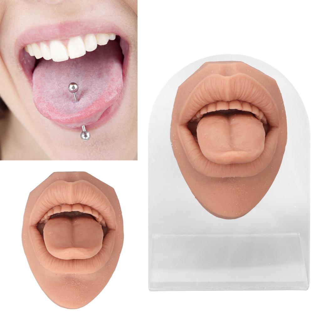 Modelo de lengua humana, silicona suave, soporte acrílico realista, modelo de boca para exhibición de joyería
